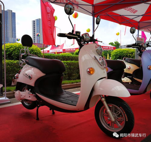 2018豪進電動車珍藏版日歷 時光中的綠色出行印記