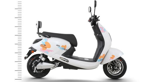 電動車行業權威資訊 洞察趨勢，把握未來